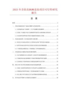 2025年含钴直柄麻花钻项目可行性研究报告