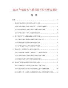 2025年低毒吹氣膜項目可行性研究報告