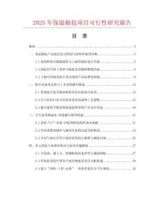 2025年保溫棉氈項目可行性研究報告