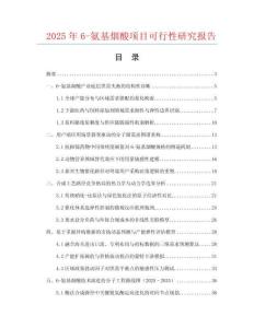 2025年6-氨基煙酸項(xiàng)目可行性研究報(bào)告