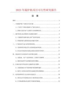2025年搗爐機項目可行性研究報告