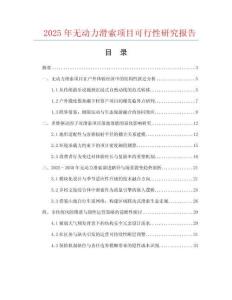 2025年無動力滑索項目可行性研究報告