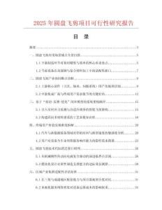 2025年圓盤飛剪項目可行性研究報告