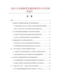 2025年包塑柄黑色橡膠錘項(xiàng)目可行性研究報(bào)告