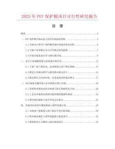 2025年PET保護膜項目可行性研究報告