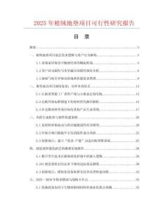 2025年植絨地墊項目可行性研究報告