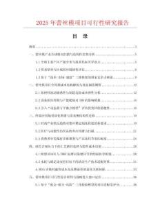2025年蕾絲模項(xiàng)目可行性研究報告