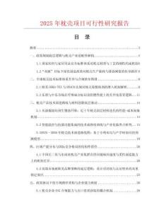 2025年枕殼項目可行性研究報告