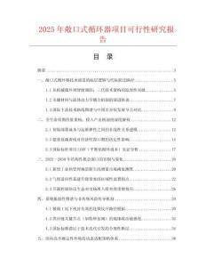 2025年敞口式循環器項目可行性研究報告