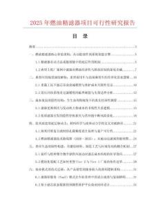 2025年燃油精濾器項(xiàng)目可行性研究報(bào)告