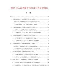 2025年人造革腰帶項目可行性研究報告