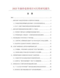 2025年抽紗桌墊項目可行性研究報告