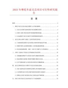 2025年摩托車前叉芯項目可行性研究報告