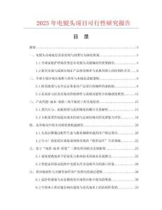2025年電熨頭項目可行性研究報告