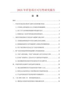2025年釬套項(xiàng)目可行性研究報(bào)告