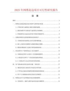 2025年網(wǎng)繡花邊項目可行性研究報告