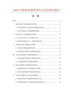 2025年漁絲松緊帶項目可行性研究報告