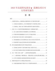 2025年高量程電離室γ監(jiān)測(cè)儀項(xiàng)目可行性研究報(bào)告