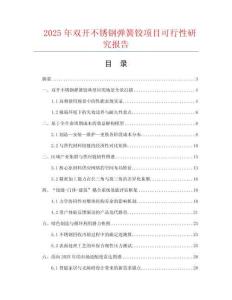 2025年雙開不銹鋼彈簧鉸項目可行性研究報告