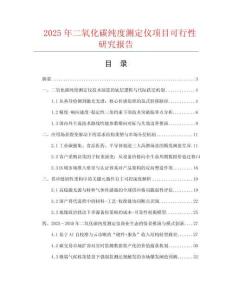 2025年二氧化碳純度測定儀項目可行性研究報告