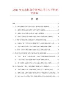 2025年洗衣機(jī)離合器模具項(xiàng)目可行性研究報(bào)告