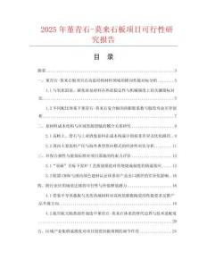 2025年堇青石-莫來石板項目可行性研究報告