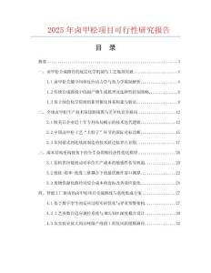 2025年鹵甲松項(xiàng)目可行性研究報(bào)告