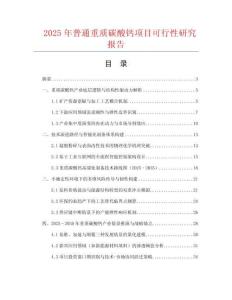 2025年普通重質碳酸鈣項目可行性研究報告