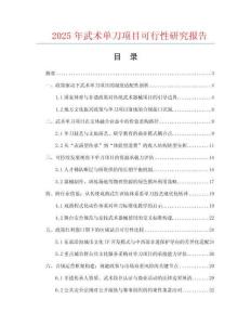 2025年武術(shù)單刀項(xiàng)目可行性研究報(bào)告