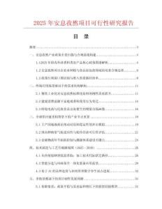 2025年安息孜然项目可行性研究报告