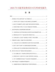 2025年小提琴肩墊項(xiàng)目可行性研究報(bào)告
