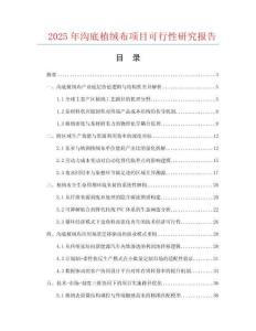 2025年沟底植绒布项目可行性研究报告