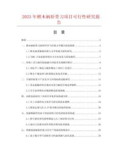 2025年檀木柄斬骨刀項(xiàng)目可行性研究報(bào)告