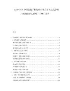2025-2030中國智能手機行業(yè)市場當前現(xiàn)狀競爭格局及投資評估推動了了研究報告