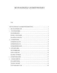 城市供水系統(tǒng)改造與水資源管理優(yōu)化報告