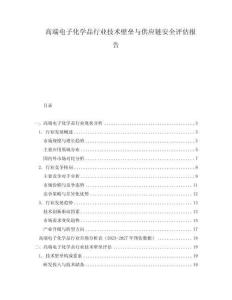 高端電子化學(xué)品行業(yè)技術(shù)壁壘與供應(yīng)鏈安全評估報告