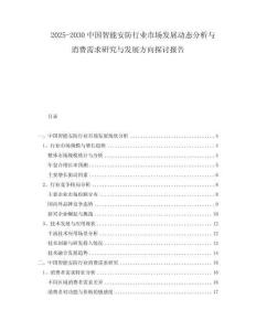2025-2030中國智能安防行業(yè)市場發(fā)展動態(tài)分析與消費需求研究與發(fā)展方向探討報告
