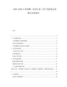 2025-2030王者榮耀（電競行業(yè)）用戶活躍度運營模式分析報告