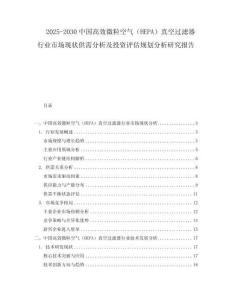 2025-2030中國(guó)高效微粒空氣（HEPA）真空過(guò)濾器行業(yè)市場(chǎng)現(xiàn)狀供需分析及投資評(píng)估規(guī)劃分析研究報(bào)告