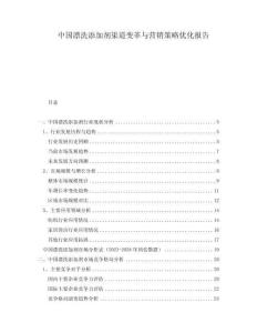中國(guó)漂洗添加劑渠道變革與營(yíng)銷策略優(yōu)化報(bào)告