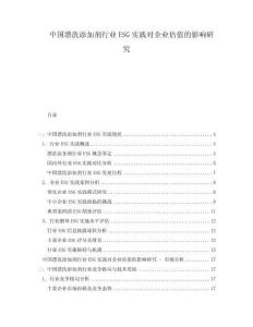 中國漂洗添加劑行業(yè)ESG實踐對企業(yè)估值的影響研究