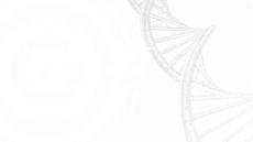 2024年國(guó)際心肺復(fù)蘇(CPR)與心血管急救(ECC)指南