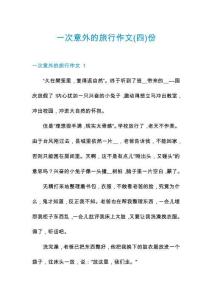 一次意外的旅行作文份