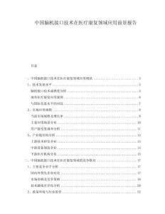 中國腦機接口技術(shù)在醫(yī)療康復(fù)領(lǐng)域應(yīng)用前景報告
