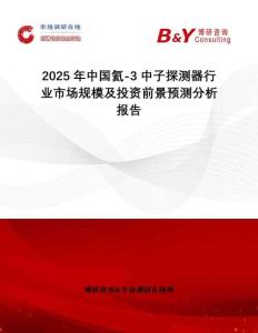 2025年中國氦-3中子探測器行業市場規模及投資前景預測分析報告
