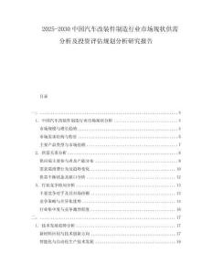 2025-2030中國汽車改裝件制造行業市場現狀供需分析及投資評估規劃分析研究報告