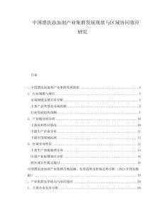 中國漂洗添加劑產業集群發展現狀與區域協同效應研究