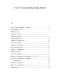 中國青年創(chuàng)業(yè)基金會(huì)孵化模式效果評估報(bào)告