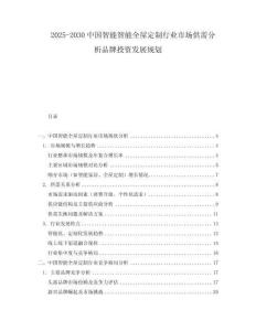 2025-2030中國(guó)智能智能全屋定制行業(yè)市場(chǎng)供需分析品牌投資發(fā)展規(guī)劃