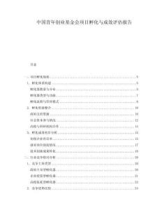 中國青年創(chuàng)業(yè)基金會(huì)項(xiàng)目孵化與成效評估報(bào)告